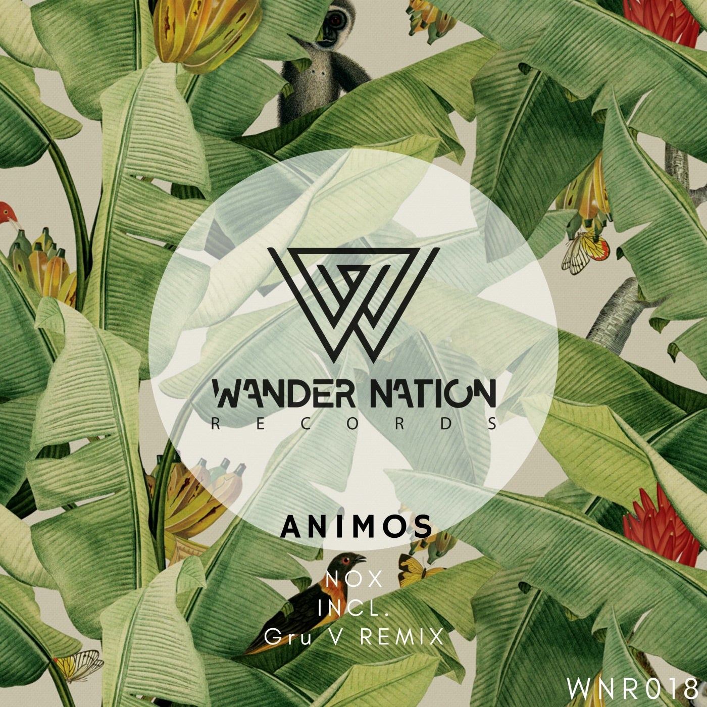Animos - Nox [WNR018]
